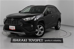 RAV4 G