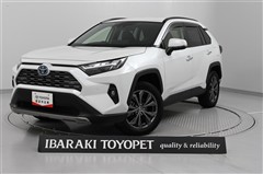 RAV4 ハイブリッドG