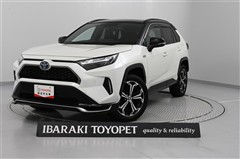 RAV4 PHV ブラックトーン