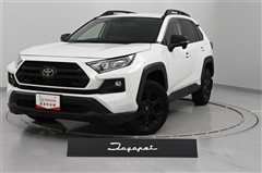 トヨタ RAV4 アドベン オフロード2