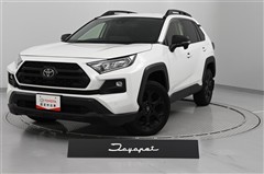 RAV4 アドベン オフロード2