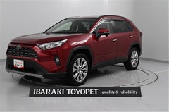 RAV4 G Zパッケージ