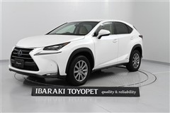 NX300h Iパッケージ