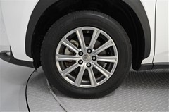 NX300h Iパッケージ