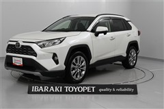RAV4 G Zパッケージ
