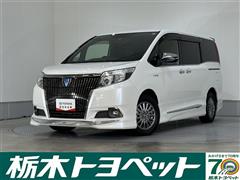 エスクァイアHV Gi Bテーラード