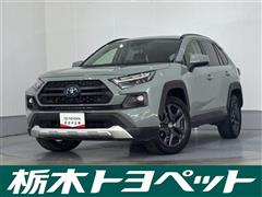 RAV4 HV アドベンチャー