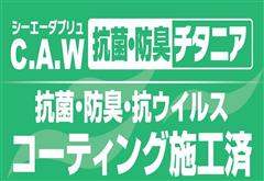ムーヴキャンバス X メイクSA3
