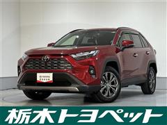 RAV4 ハイブリッドG