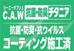 ムーヴキャンバスG BLアVSSA3