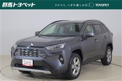 RAV4 ハイブリッドG
