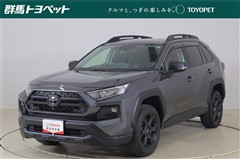 トヨタ RAV4 アドベンチャーオフロート2