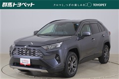 RAV4 G