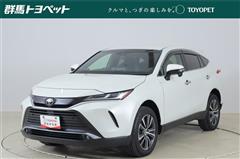 ハリアー G レザーパッケージ