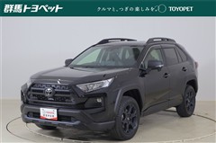 RAV4 アドベンチャーオフロート2