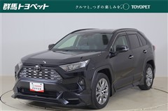 RAV4 G Zパッケージ