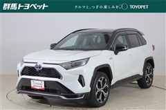 トヨタ RAV4 PHV ブラックトーン