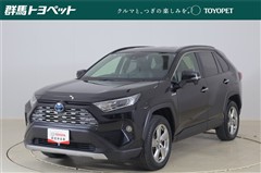RAV4 ハイブリッドG