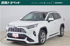 RAV4 G