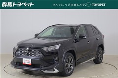 RAV4 G