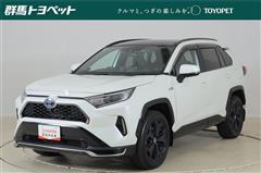 トヨタ RAV4 PHV G Z