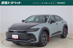 クラウンCO RS ランドスケープ