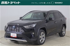 RAV4 ハイブリッドG