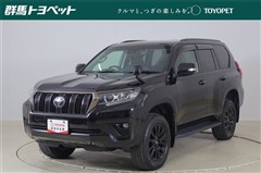 ランクルプラドTX L  BL ED