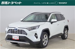 ＲＡＶ４