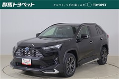 RAV4 ハイブリッドG