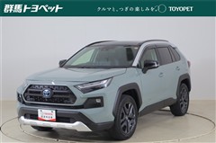 RAV4 HV アドベンチャー