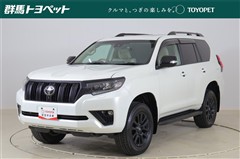 ランクル プラドTXーL マットブ