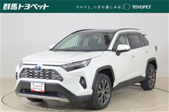 トヨタ RAV4 ハイブリッドG