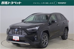 RAV4 ハイブリッドG