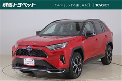 トヨタ RAV4 PHV ブラックトーン