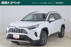 RAV4 ハイブリッドG
