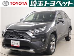 RAV4 G