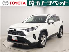 RAV4 G