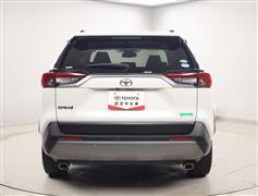RAV4 G