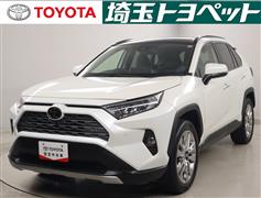 RAV4 G Zパッケージ