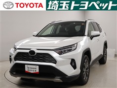 RAV4 G