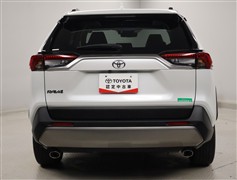 RAV4 G