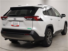 RAV4 G