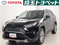 RAV4 G Zパッケージ