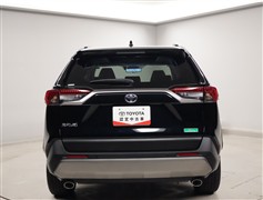 RAV4 G Zパッケージ