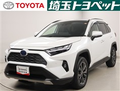 RAV4 HV G