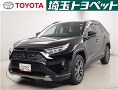 RAV4 G