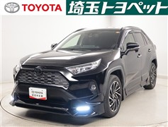 RAV4 G Zパッケージ