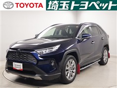 RAV4 G Zパッケージ