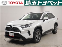 RAV4 G
